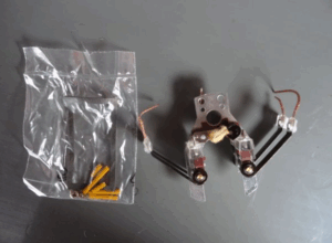 Gebiss (Kontakt) – Bild 1