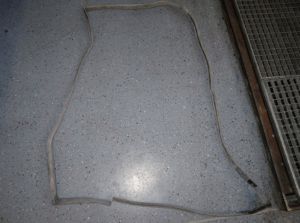 Rear right door seal - Image 2